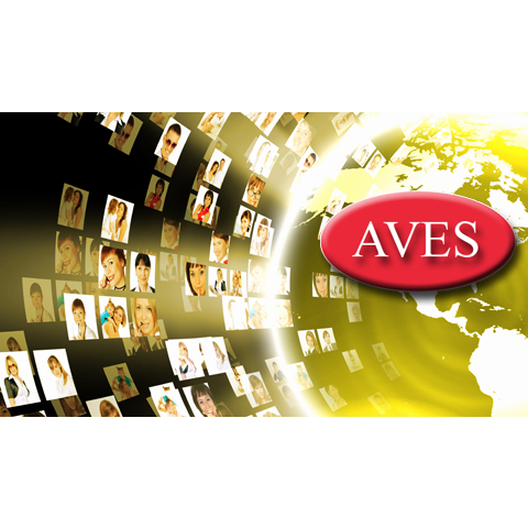 AVES Audio Visual Systems - Visual
