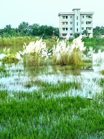 Photos of Kalukhali Upazilla Parishad