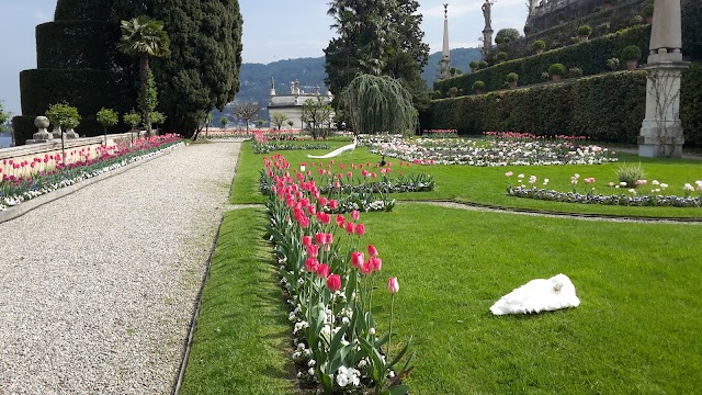 Isola Bella