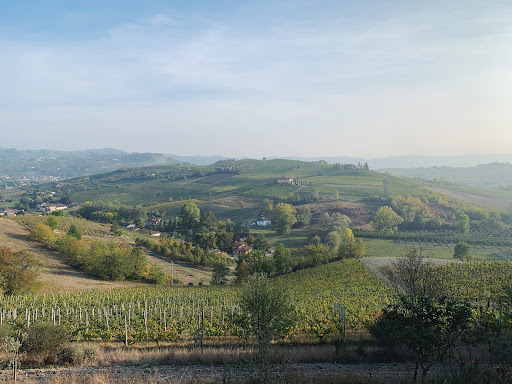 VIV Winery