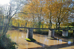 Photo n°9 de gîte et cabanes atypiques Le Moulin Neuf à Beaupréau-en-Mauges (Camping avec cabanes)