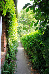 Photo n°15 de Le Moulin de Fillievres : Chambre d'hôtes et chalets au calme, à la campagne, table d'hôtes, idéal randonnées, Pas-de-Calais à Fillièvres (Maison de vacances)