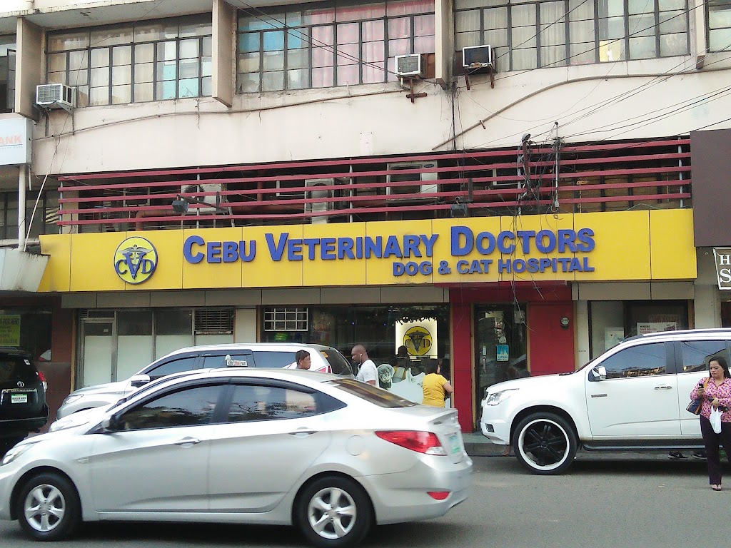 Cebu Veterinary Doctors Main Hospital Cebu City F Ramos St