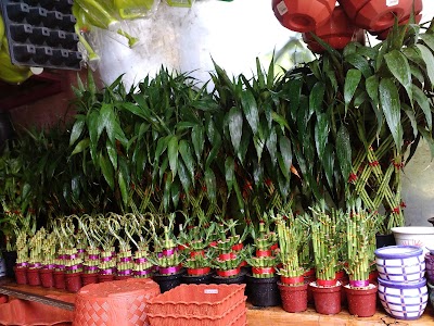 florist