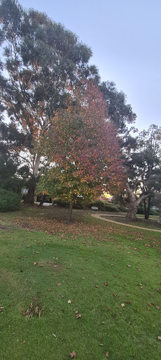 Chamberlain Circle Reserve Gallery - Australia