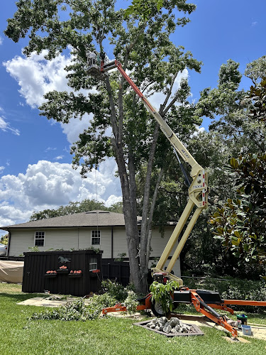 Wolverine Tree Care
