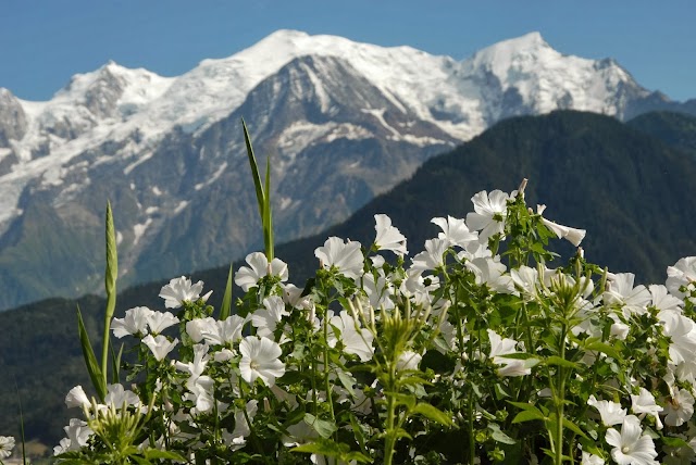 jardin des cimes