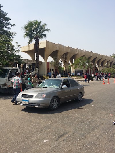 Photos of Helwan University