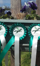 Photo n°7 de Ferme équestre du Loret à Orvault (Éleveur de chevaux)