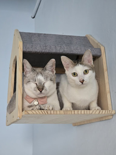 Pick & Pet (Fluffy Inn Pet Hotel and Day Care)