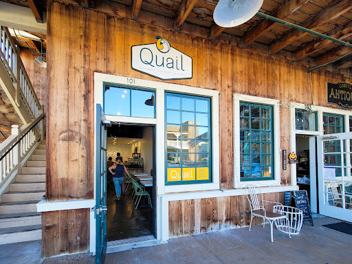 Quail - Visual