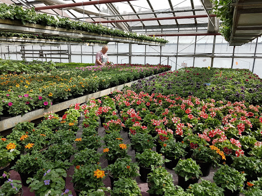 Blumenstadel Brigitte Miller - Thumbnail