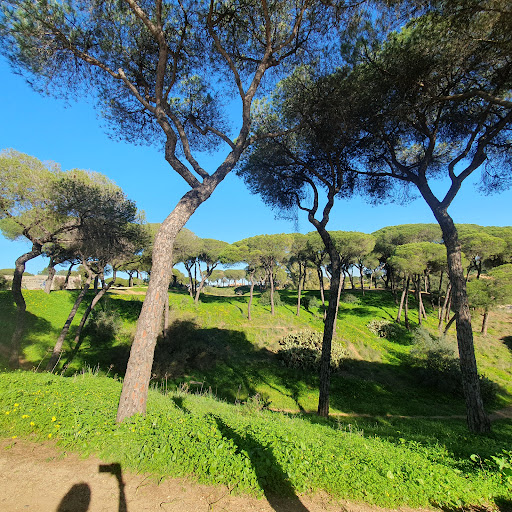 Parque Moret - Visual