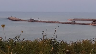 Photos of Baja Village
