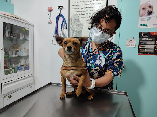 Consultorio Veterinario Animal Care