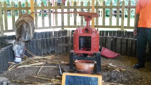 Appleton Estate Rum Experience
