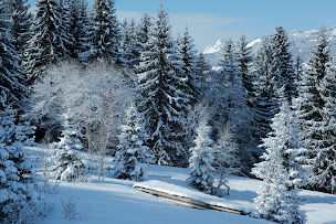 Photo n°31 de LE TIGRR Princesse à Demi-Quartier (Restaurant asiatique)