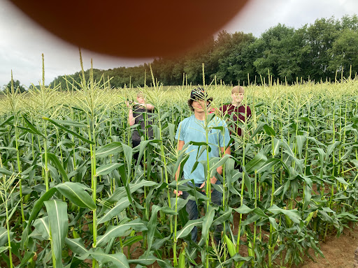 Seiberling Farm - Thumbnail
