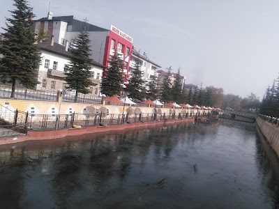 Photos of Kaburgaci Selim Amca