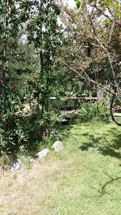 Photos of Sol de los Andes