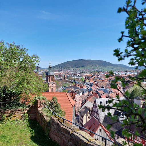 Miltenberg am Main - Thumbnail