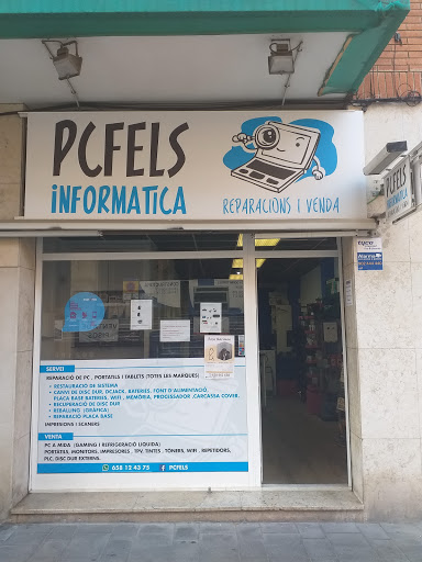 PCFELS - Visual