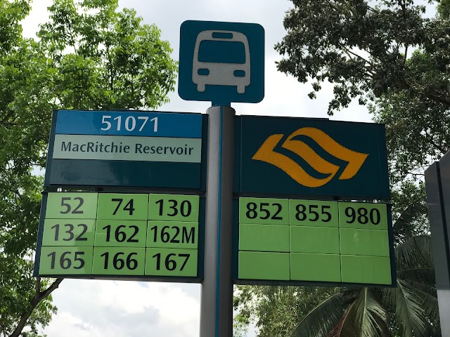 Macritchie Reservoir