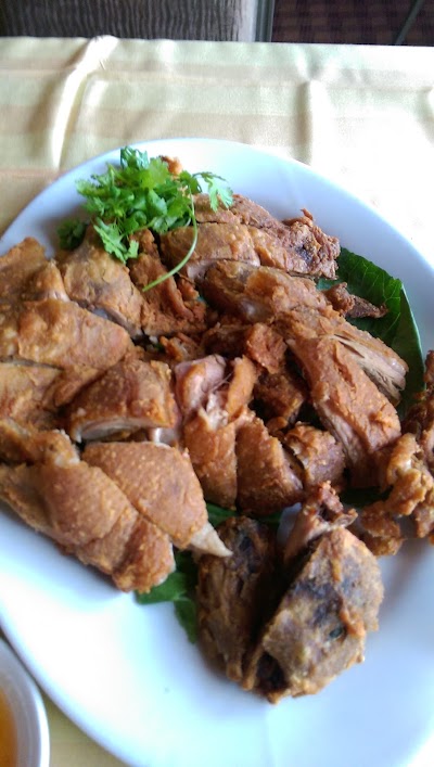 Photos of Golden Duck
