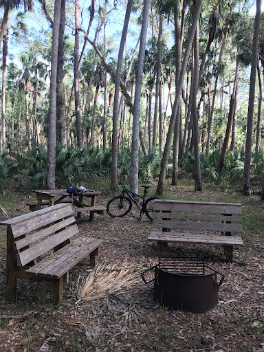 Wekiva Camp - Visual