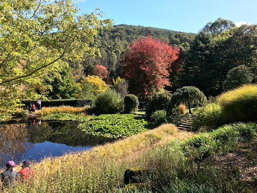 Gardens of Tieve Tara - Thumbnail