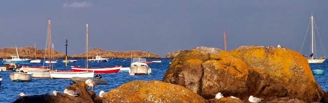 Hôtel du Fort et des Iles