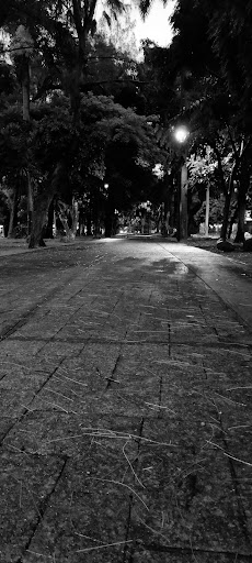 Parada TRV y AU (Ordinario Xalapa)