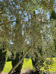 Photo n°4 de Couleur Lavande à Le Thor (Chambre d'hôtes)