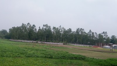 Photos of কালীনগর ঐতিহাসিক কবরস্থান