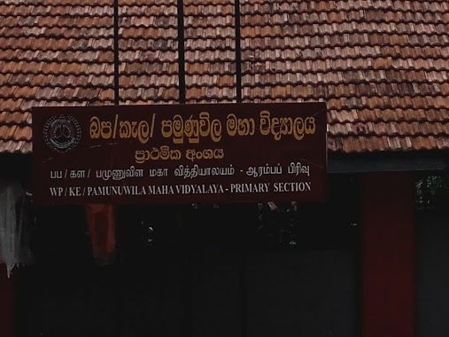 Pamunuwila Maha Vidyalaya (Primary School), Author: Kapila Jayasundara