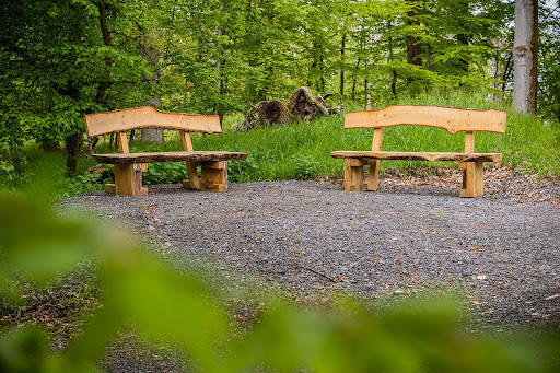 FriedWald Herborn - Visual