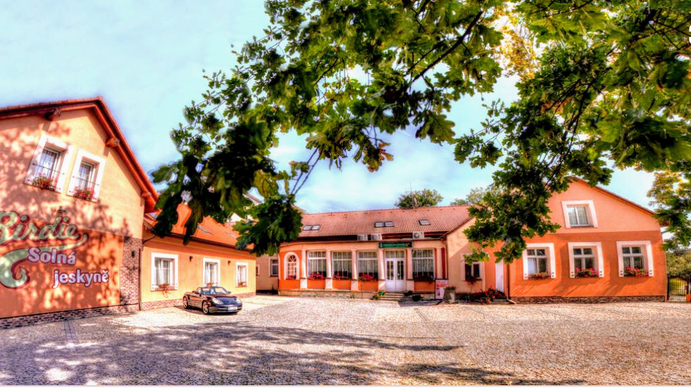 BIRDIE Pension & Wellness