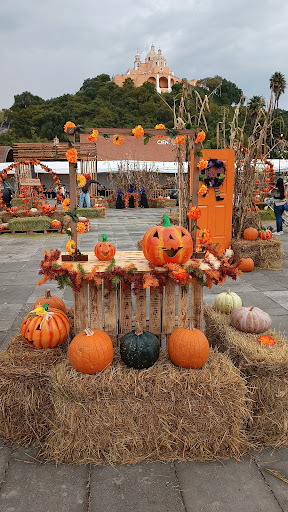 Pumpkin zone - Visual