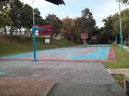 Parque De Caminar Colina Metropolitana, Author: Julio Rivera