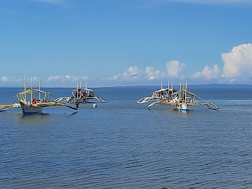 Donsol Whaleshark Tour Information by null