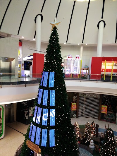 Photos of HOYTS Northland