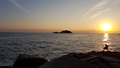Photos of 봉포항