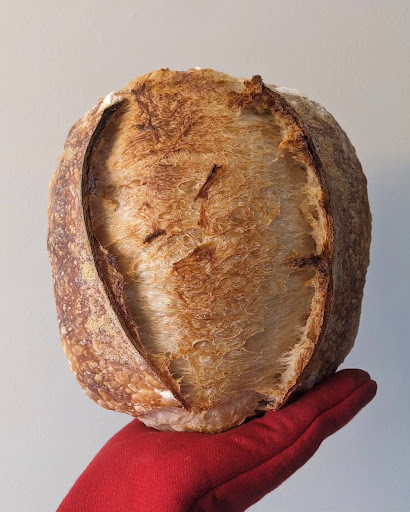 honest bread Gallery - United States