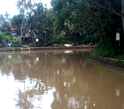 Photos of Situ Rincik Manik