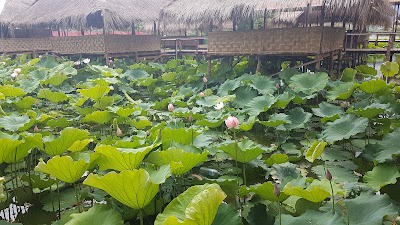 Photos of Nadi Hlaing