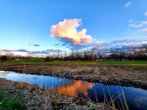 Boardman Park - Visual