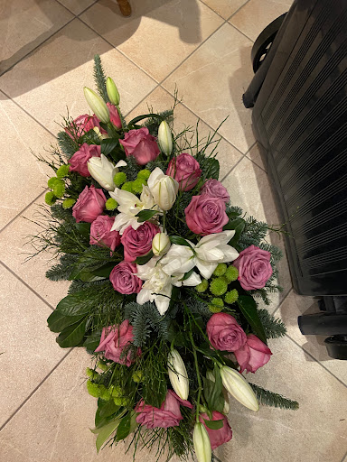 Blumen Würfel - Visual