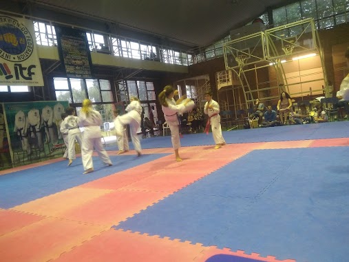 Club Mercantil Instituto Del Taekwondo Argentino, Author: Julio Niveyro