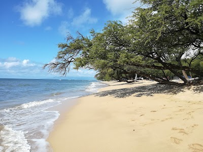 Pāpalaua Wayside Park