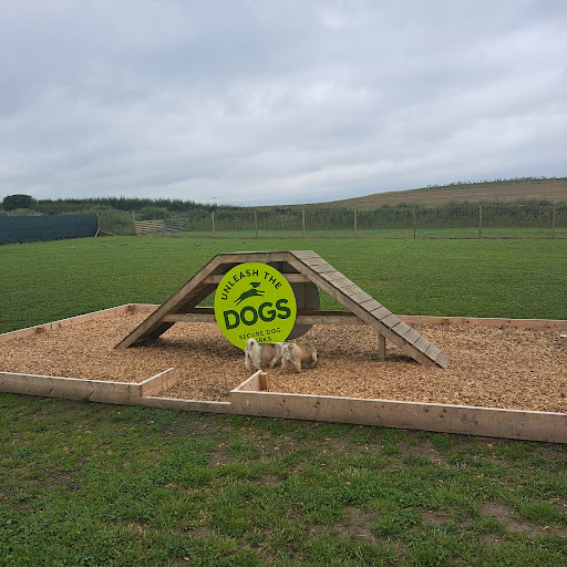 Unleash the Dogs - Hillington Dog Fields - Thumbnail